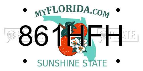 861HFH Florida License Plate