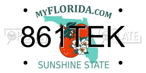 861TEK Florida License Plate