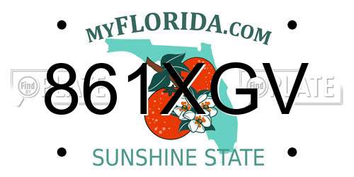 861XGV Florida License Plate