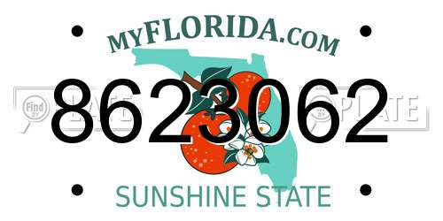 8623062 Florida License Plate