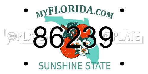 86239 Florida License Plate