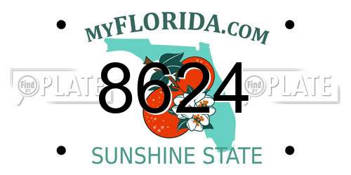 8624 Florida License Plate
