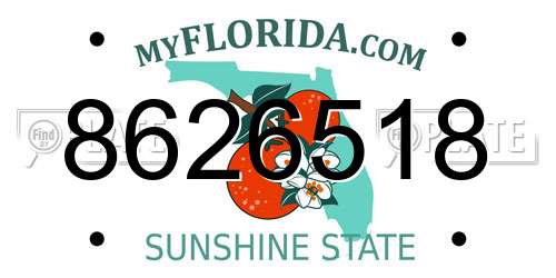 8626518 Florida License Plate