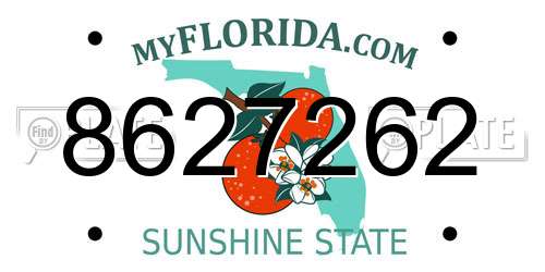 8627262 Florida License Plate