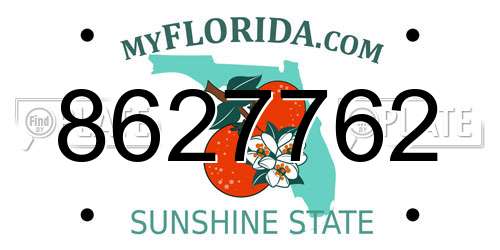 8627762 Florida License Plate