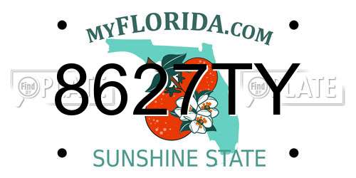 8627TY Florida License Plate