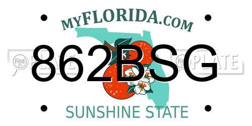 862BSG Florida License Plate