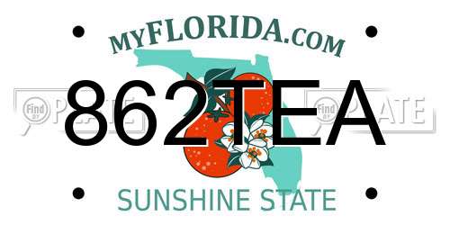 862TEA Florida License Plate