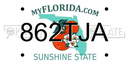 862TJA Florida License Plate