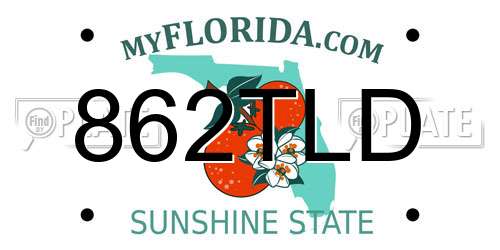 862TLD Florida License Plate