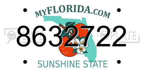 8632722 Florida License Plate