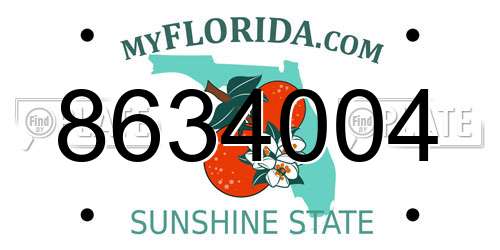 8634004 Florida License Plate