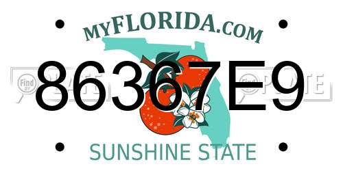 86367E9 Florida License Plate