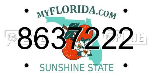 8637222 Florida License Plate