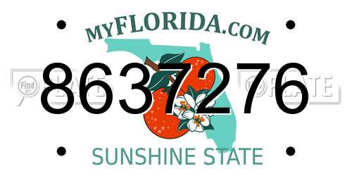 8637276 Florida License Plate