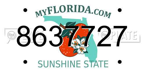 8637727 Florida License Plate