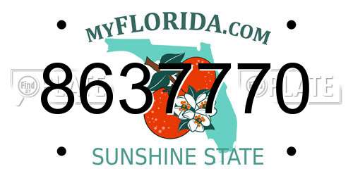8637770 Florida License Plate
