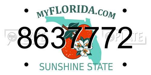 8637772 Florida License Plate