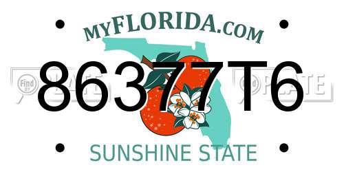 86377T6 Florida License Plate