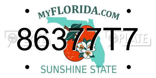 86377T7 Florida License Plate