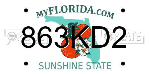 863KD2 Florida License Plate