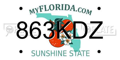 863KDZ Florida License Plate
