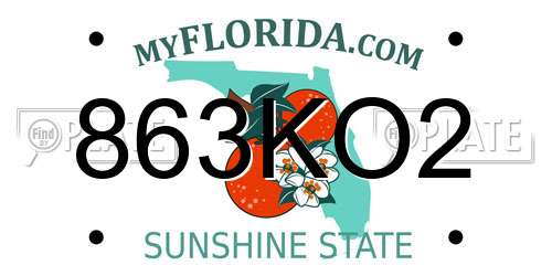 863KO2 Florida License Plate