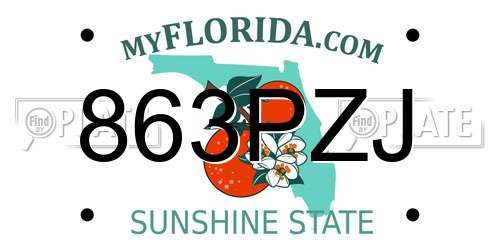 863PZJ Florida License Plate