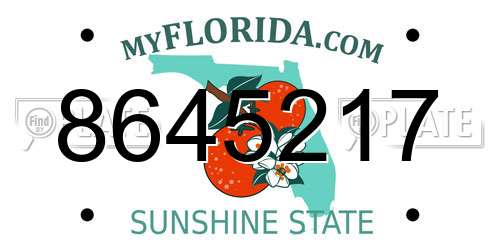 8645217 Florida License Plate