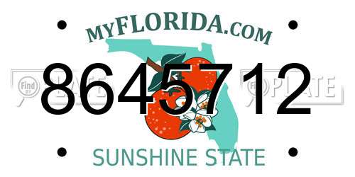 8645712 Florida License Plate
