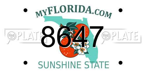 8647 Florida License Plate