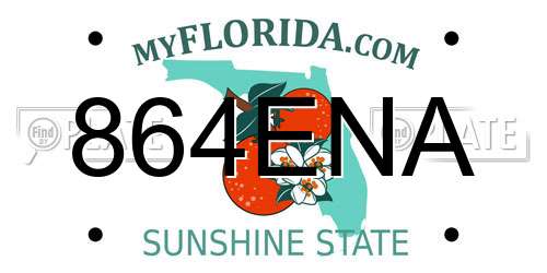 864ENA Florida License Plate