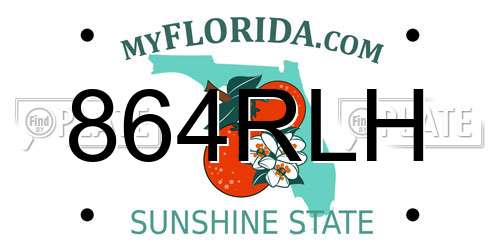864RLH Florida License Plate
