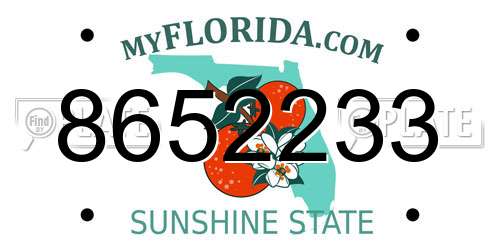 8652233 Florida License Plate