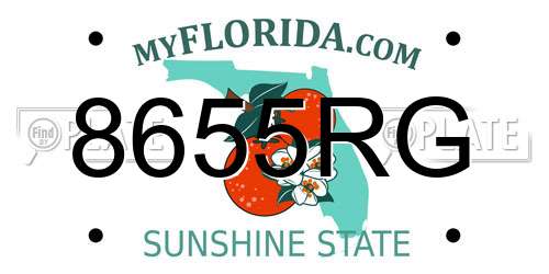 8655RG Florida License Plate