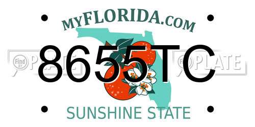 8655TC Florida License Plate
