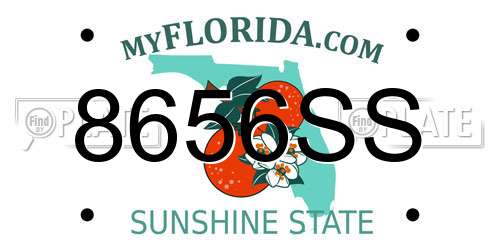 8656SS Florida License Plate