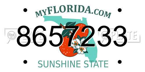 8657233 Florida License Plate