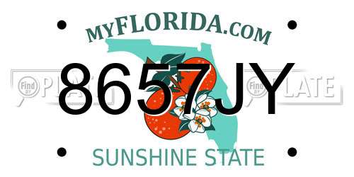 8657JY Florida License Plate