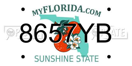 8657YB Florida License Plate