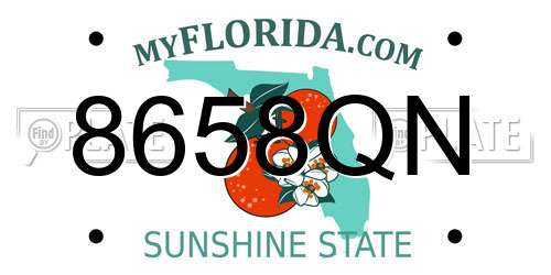 8658QN Florida License Plate