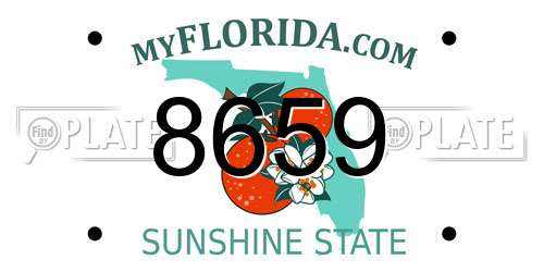 8659 Florida License Plate