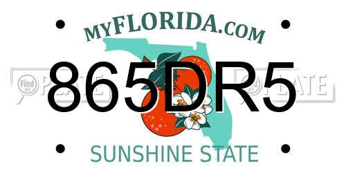 865DR5 Florida License Plate