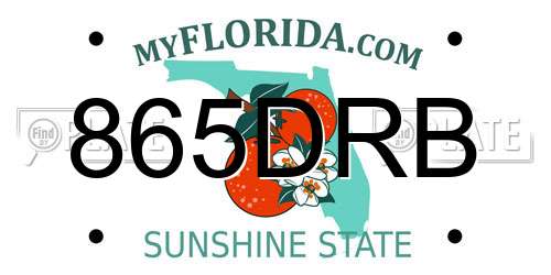 865DRB Florida License Plate