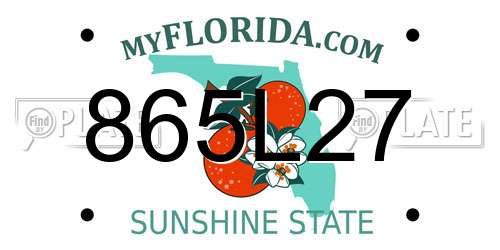 865L27 Florida License Plate