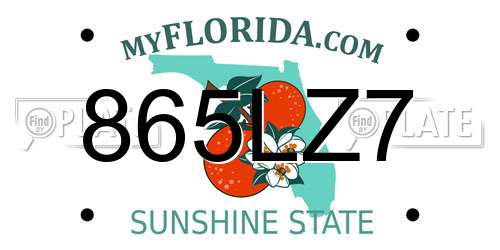 865LZ7 Florida License Plate
