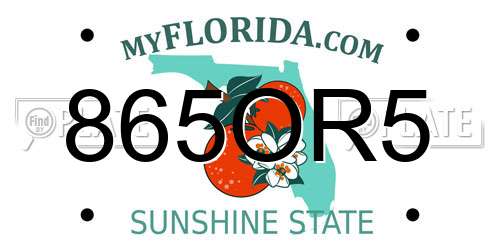 865OR5 Florida License Plate