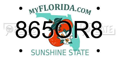 865OR8 Florida License Plate