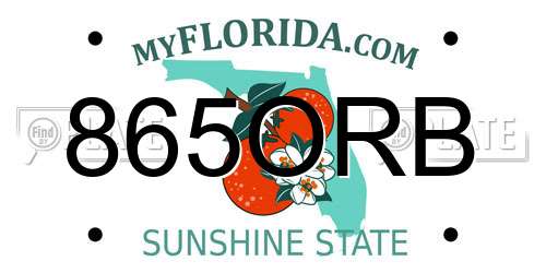 865ORB Florida License Plate