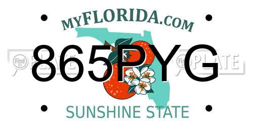 865PYG Florida License Plate
